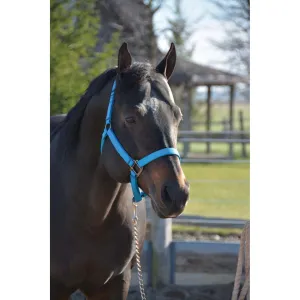 Signature 1" Halter w/ Black Hardware