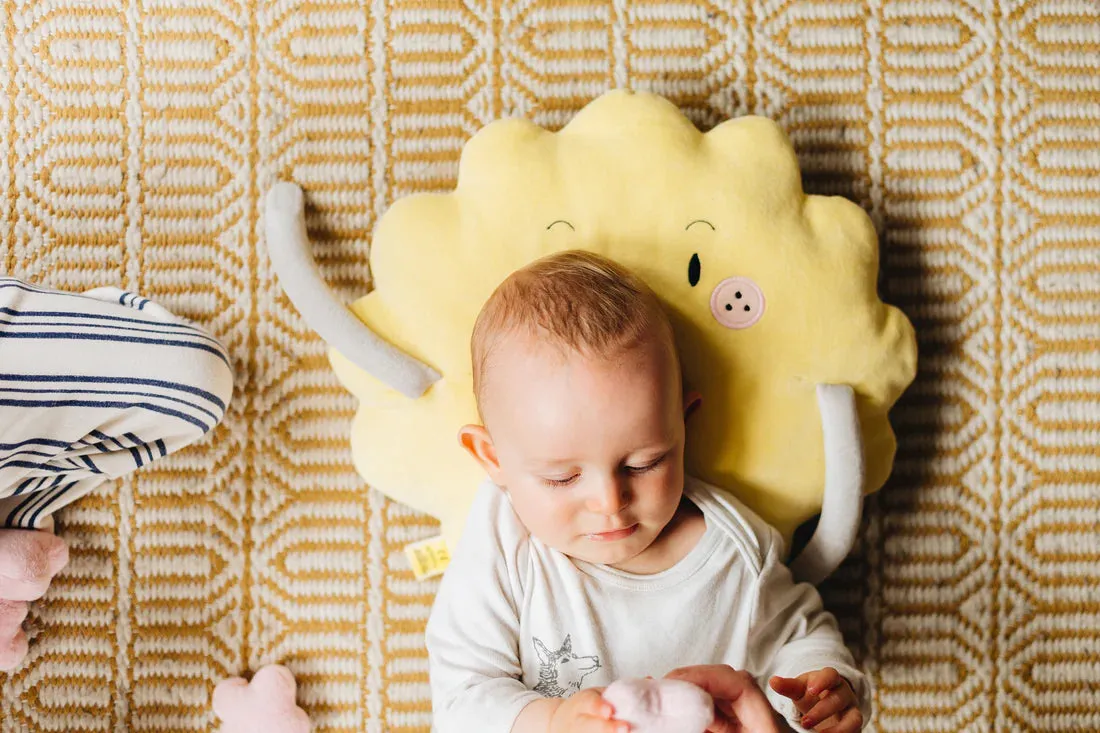 THE KISS CO BIG CUDDLE ORGANIC TOY