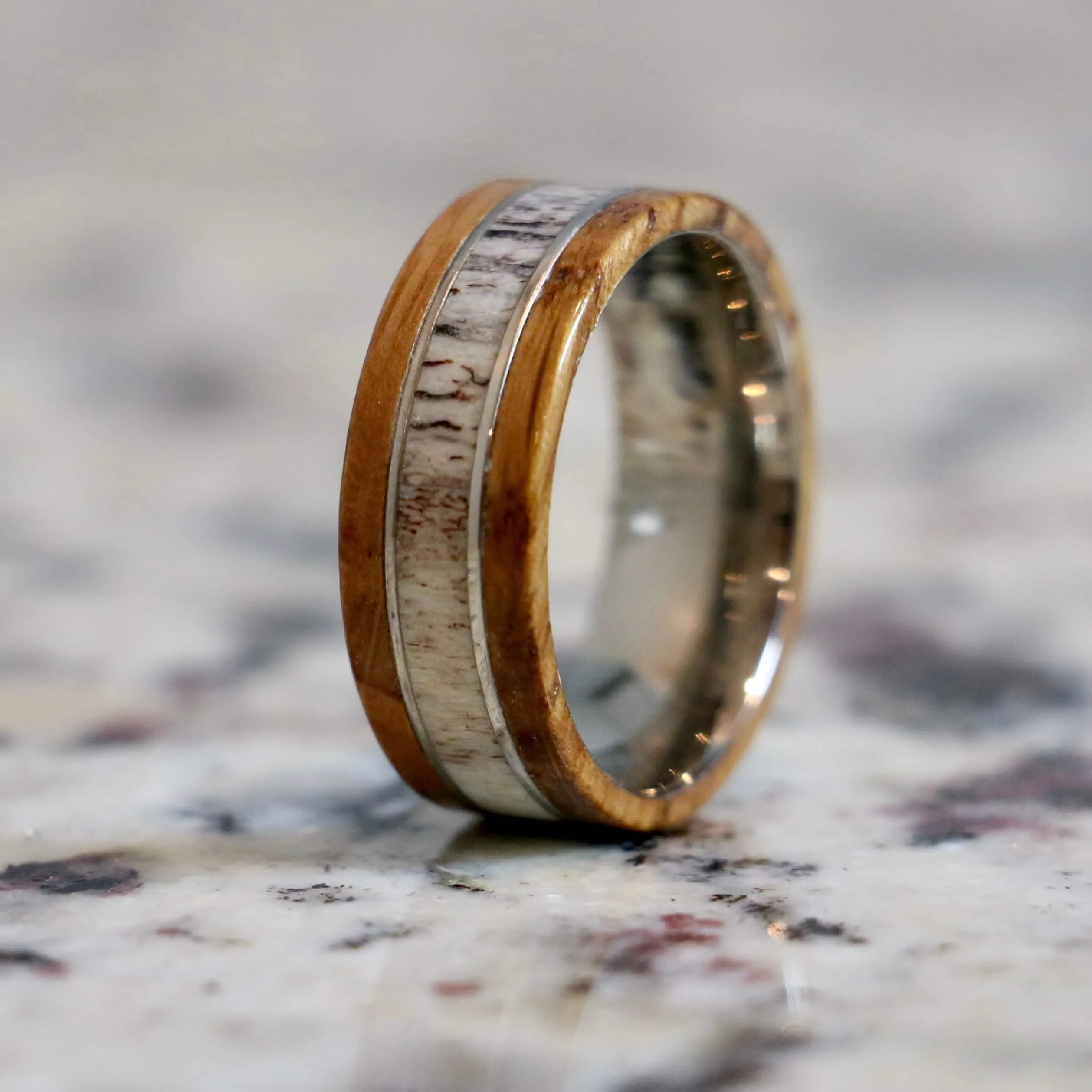 The Roosevelt | Men's Titanium Band