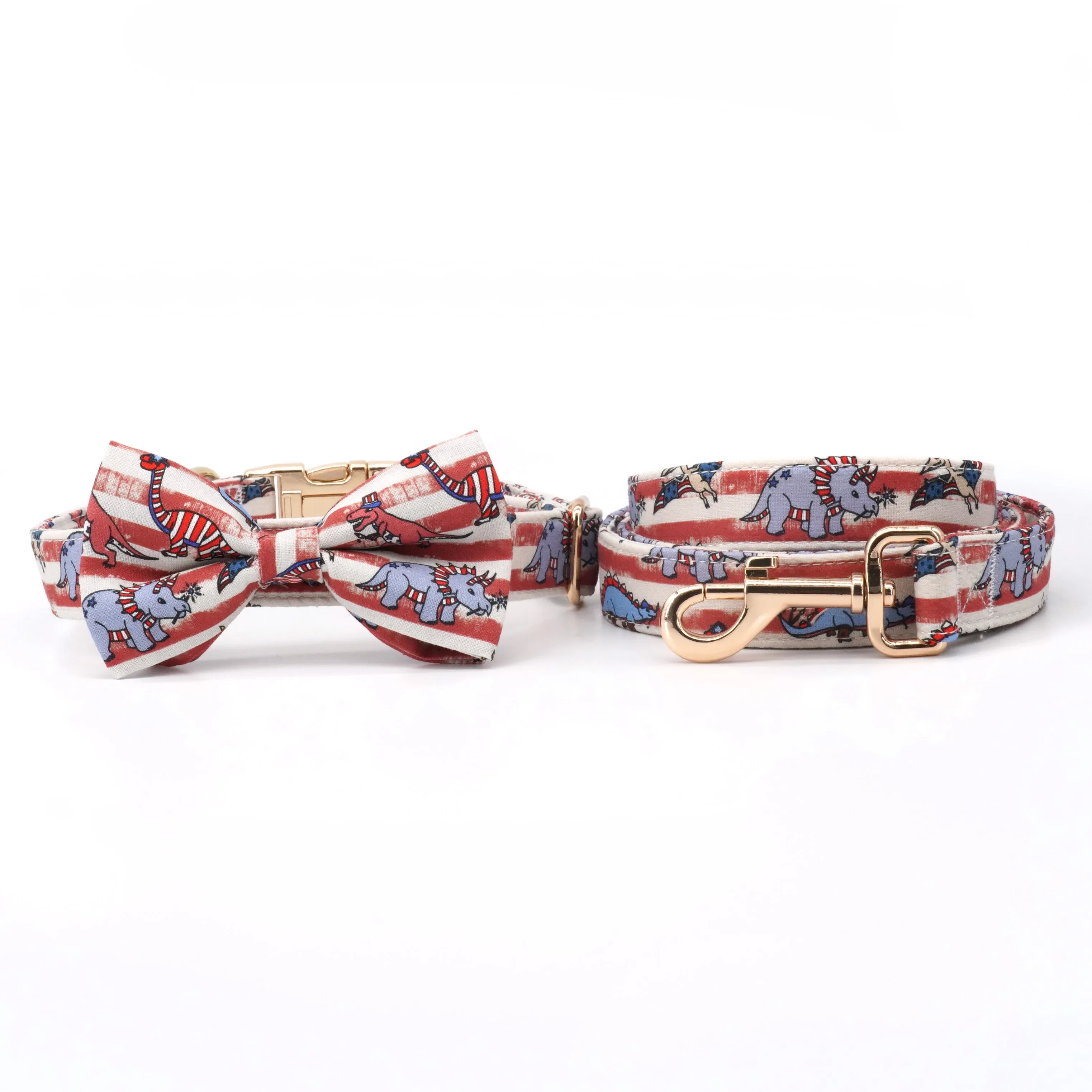 Trendy Dinos: Personalized Collars And Leashes