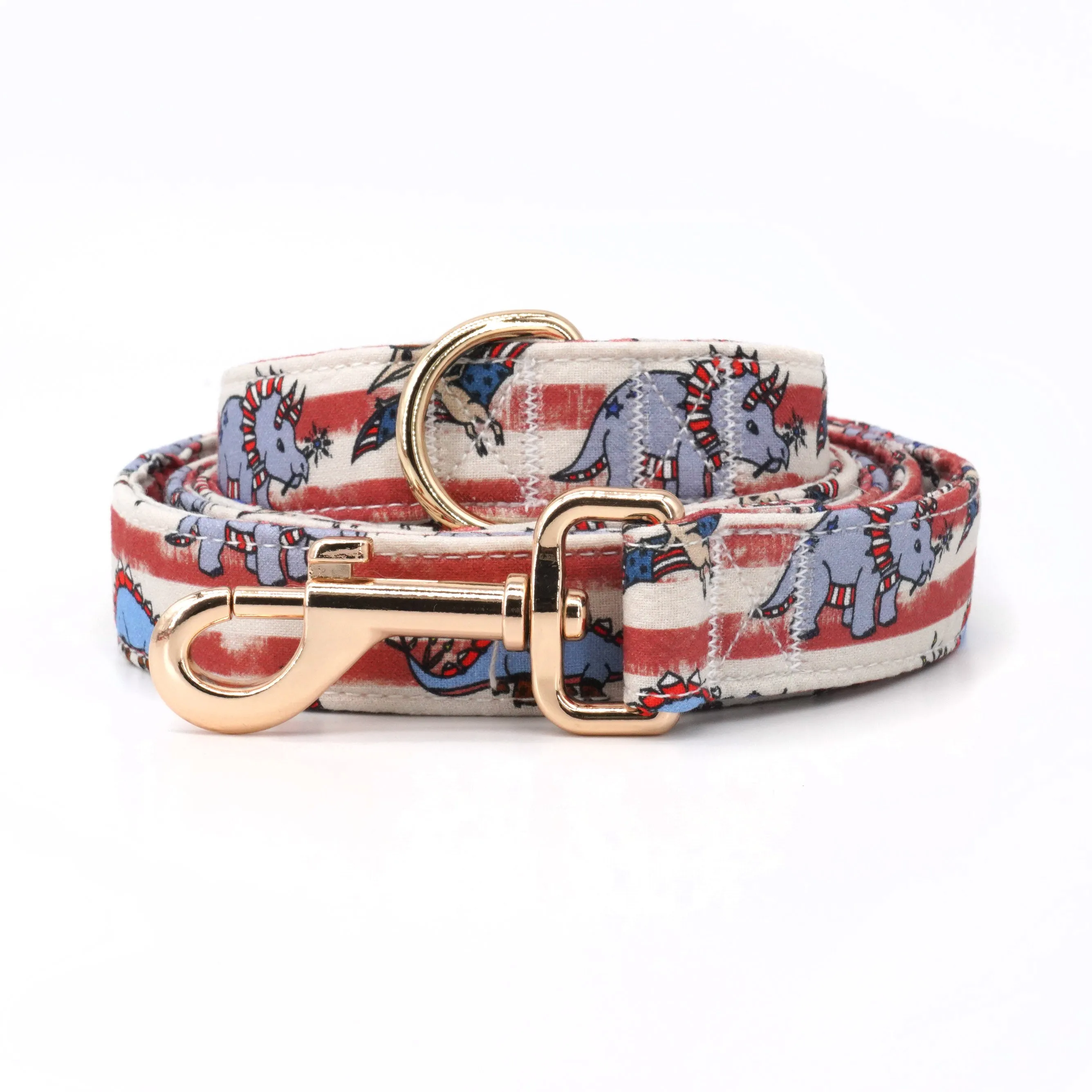 Trendy Dinos: Personalized Collars And Leashes
