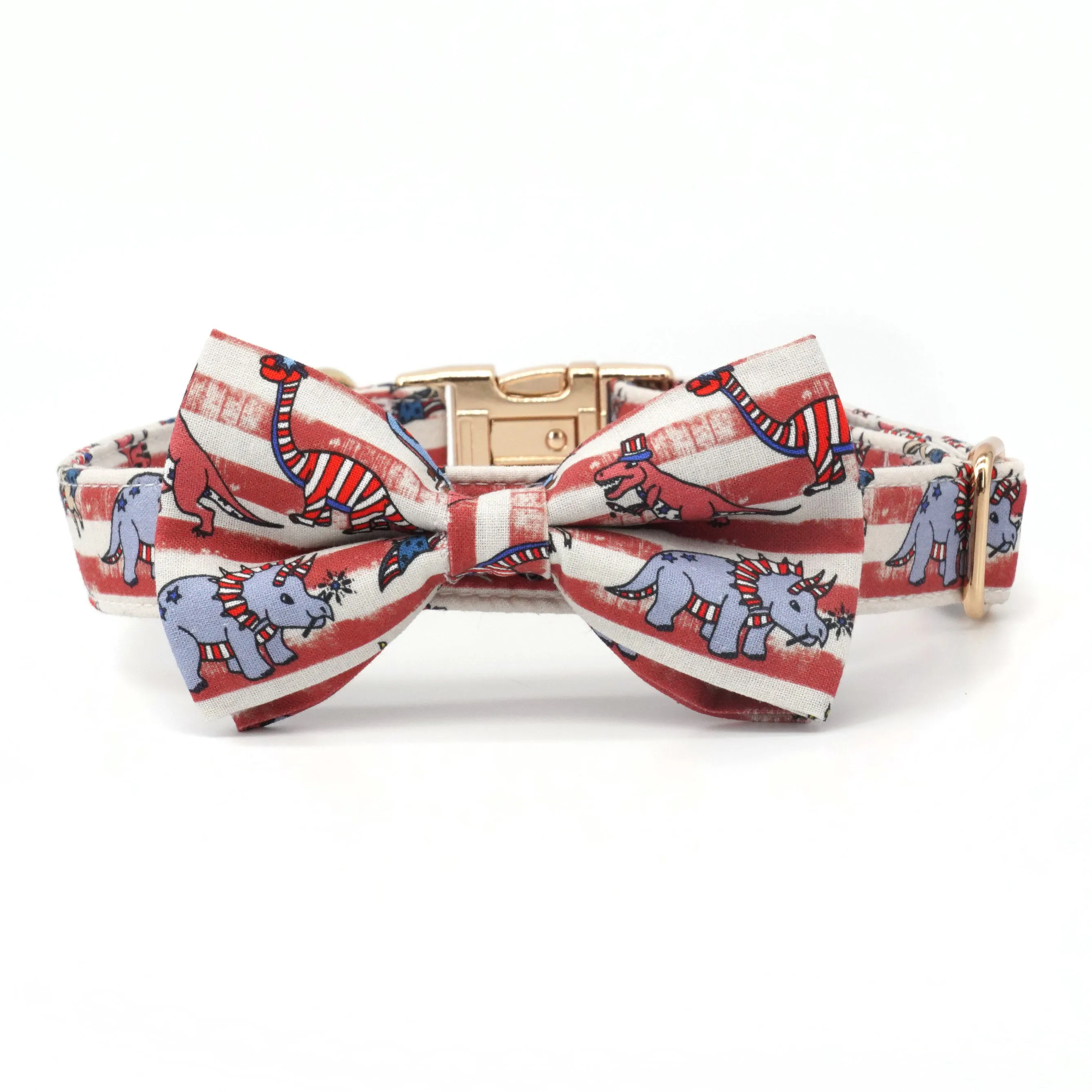 Trendy Dinos: Personalized Collars And Leashes