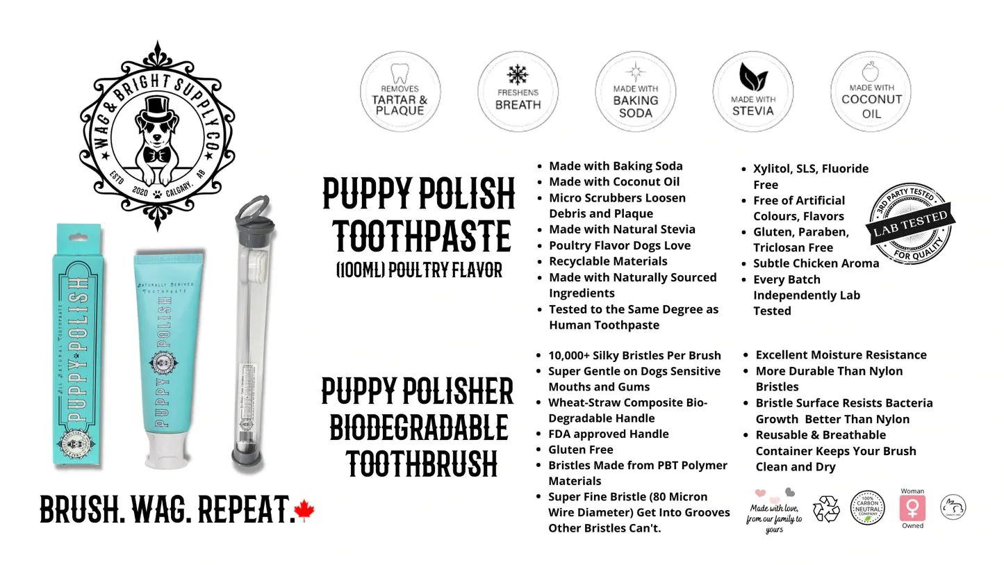 Wag & Bright Puppy Polish Toothpaste - Poultry Flavour (100g)