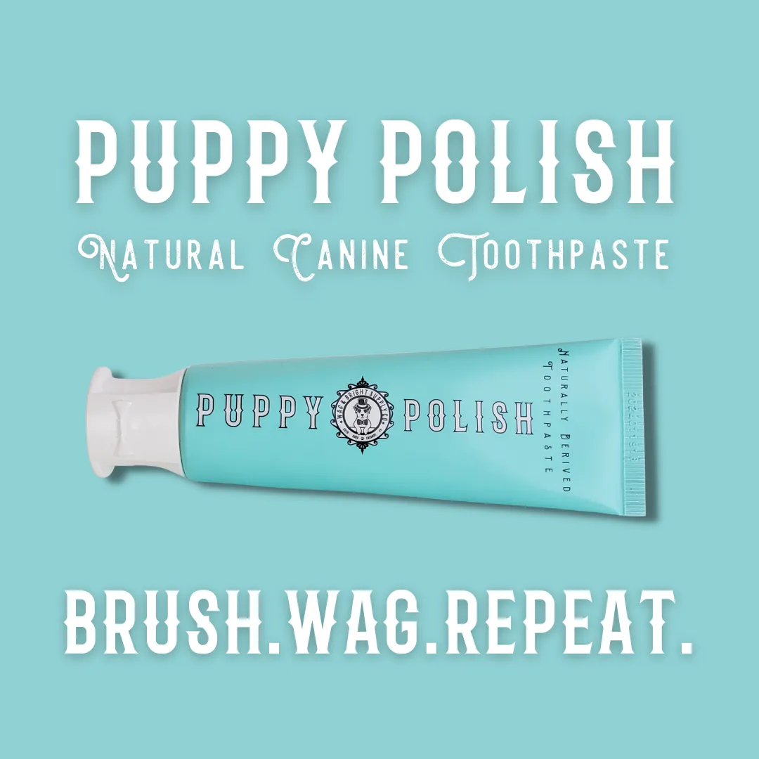 Wag & Bright Puppy Polish Toothpaste - Poultry Flavour (100g)