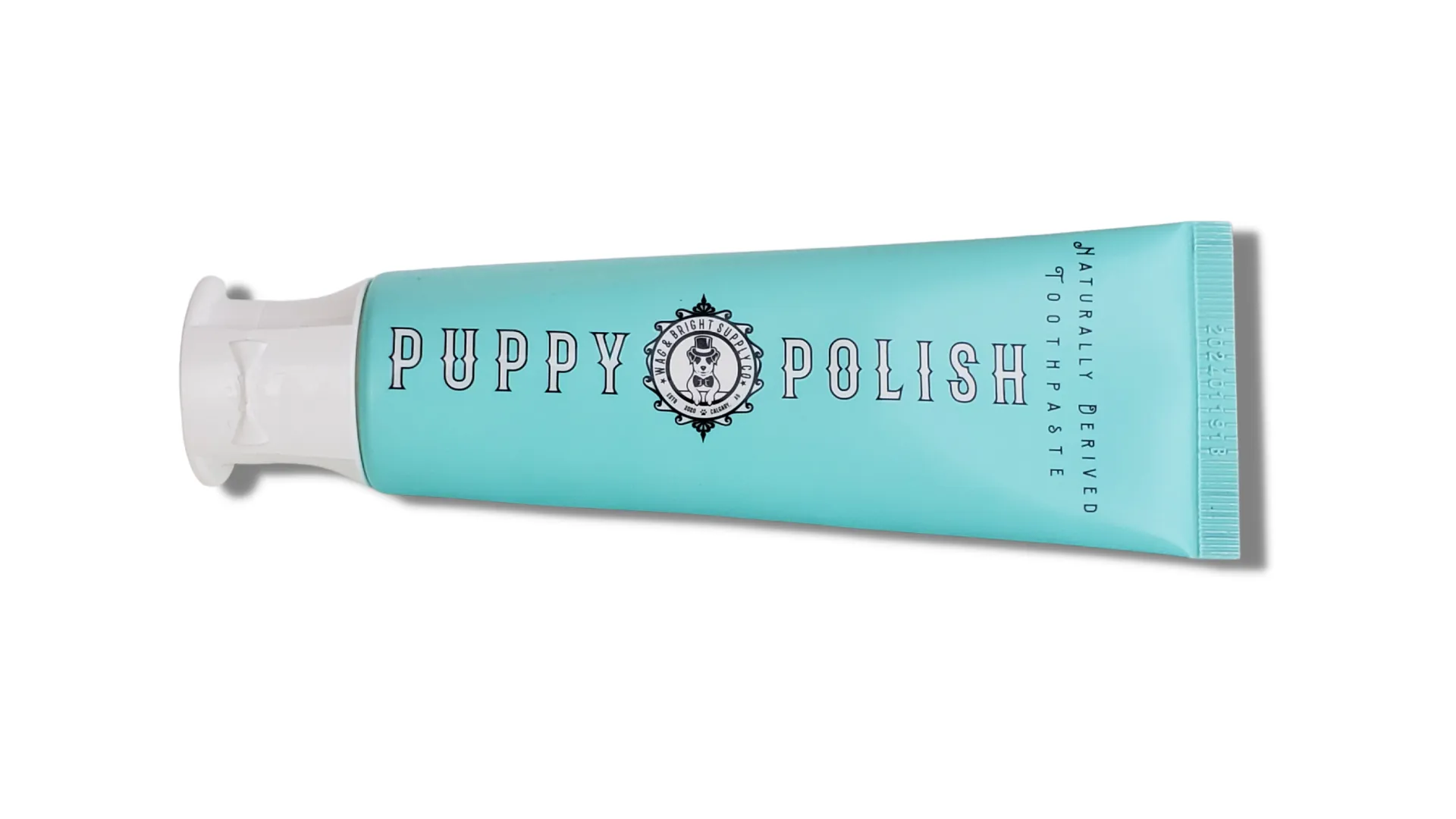 Wag & Bright Puppy Polish Toothpaste - Poultry Flavour (100g)